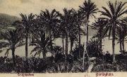 renoir, View of Bordighera:the Palms Postcard